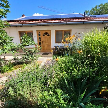 Mandula Apartman Segedin Dış mekan fotoğraf