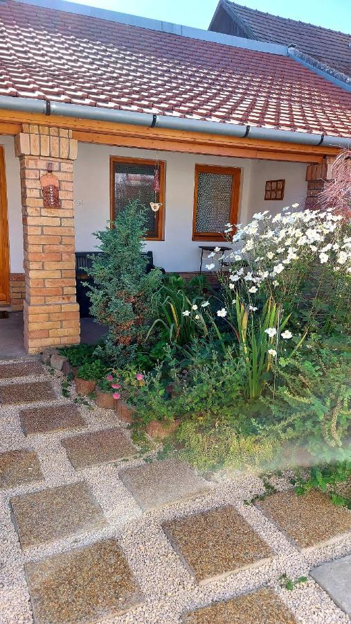 Mandula Apartman Segedin Dış mekan fotoğraf
